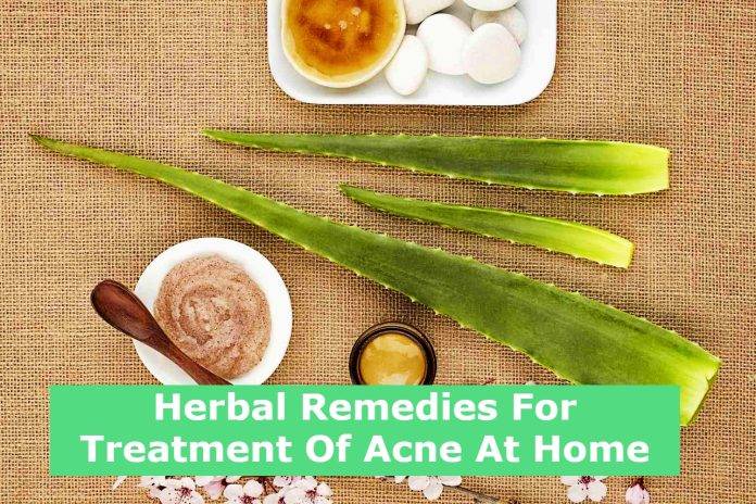 Herbal Remedies For Treatment Of Acne At Home