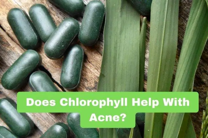 Does Chlorophyll Help With Acne?